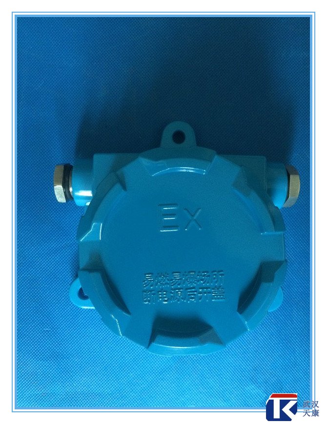 壁掛式防爆熱電阻/pt100、4-20mA輸出