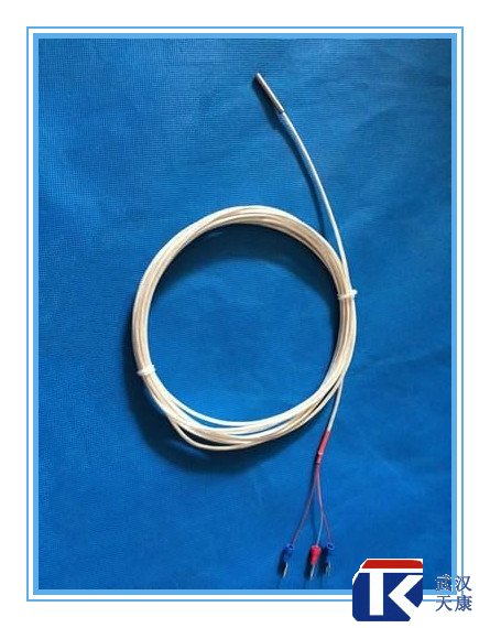 補(bǔ)償導(dǎo)線式熱電阻/WZPT-104、025/pt100熱電阻